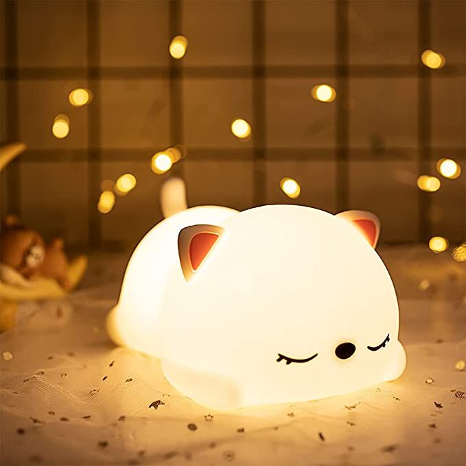 Sleeping Kitty